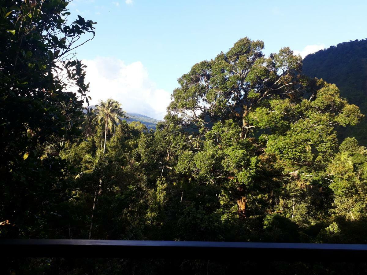 Sugi Gede Homestay Singaraja Extérieur photo